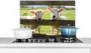 KitchenYeah Spatscherm keuken 60x40 cm - Schapen - Dieren - Boerderij - Aluminium