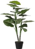 Mica Decorations Taro Kunstplant - H100 x Ø70 cm - Groen