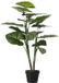 Mica Decorations Taro Kunstplant - H100 x Ø70 cm - Groen