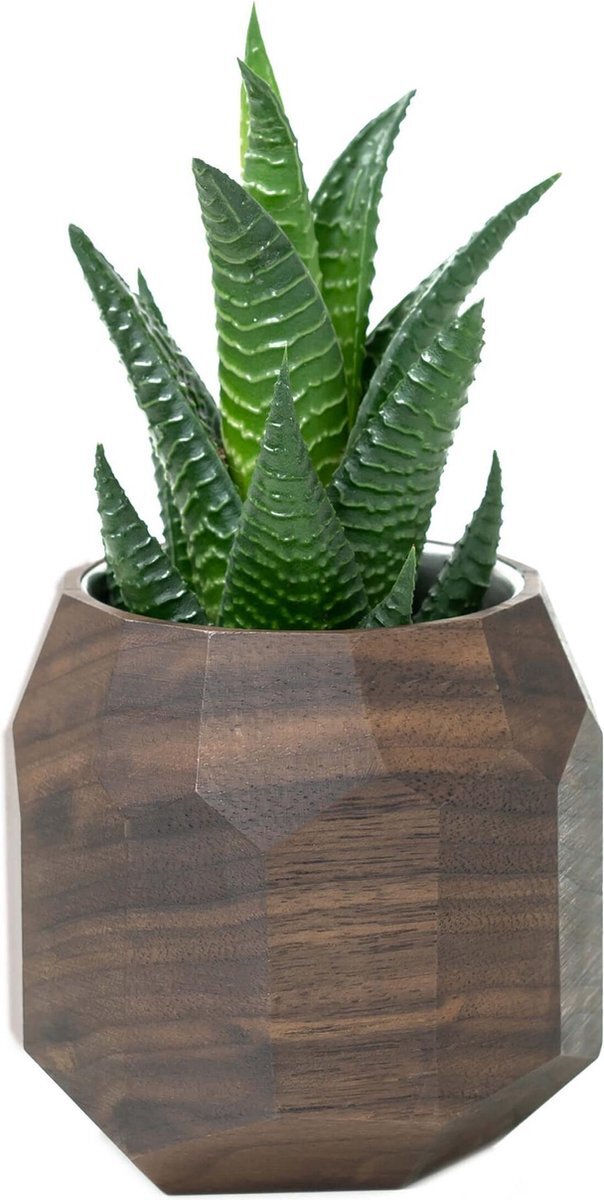 Oakywood Geometrische Plantenpot - Walnoot