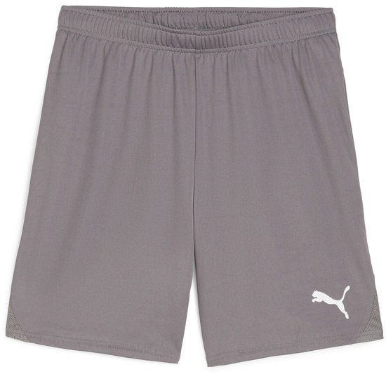 Puma Korte Puma TeamGloal Grijs Polyester Volwassenen Lente/Zomer 2024
