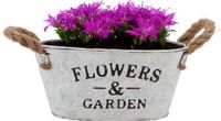 DK Design Plantenpot/bloempot teil Jardin - zink - wit - L21 x D13 x H10 cm