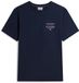 Tommy Hilfiger T-shirt Homme Coton Manches Courtes Taille S Bleu