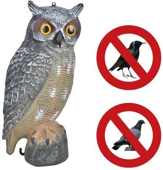 Vogelverschrikker Uil