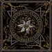 Sonic Rendezvous Pyres - Year Of Sleep (LP)