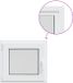 vidaXL Kelderraam RISOR 55 x 50 cm PVC en glas