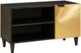 vidaXL TV-kast, zwart en goud, 80 x 33 x 46 cm, Bewerkt hout