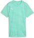Puma Individual Graphic T-shirt Met Korte Mouwen Groen L Vrouw