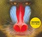 Suckers Wild Smile CD