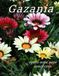 Gazania Cool Pictures That Create An Idea For You About - Perfect Gift for Tourism & Travel Lovers.....Relaxing & Meditation