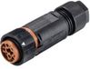 Wieland 46.051.4550.4 Connecteur mâle rond, droit Série (connecteurs ronds): RST® MINI Nombre total de pôles: 5 1 pièce(s)