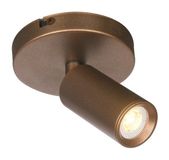 Freelight Spot Scolo 1 lichts Ø 10 cm brons goud