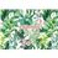Chantecler Editions ZNU Urban Jungle Planner familial
