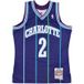 Mitchell & Ness Larry Johnson 1994-95 Charlotte Hornets Hardwood Classics Swingman Maillot