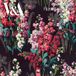Flame Tree Floral Splendour Kalender 2027