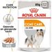 ROYAL CANIN Coat Care Adult Mousse 12x85 g