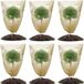 Merkloos Allecto plus Winterbescherming voor potplanten - 6 stuks - Vorstbescherming - Ongediertebestrijding - 60 x 80 cm - Met trekkoord