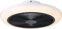 Eglo Sayulita 1 Plafondlamp met Ventilator - 46 cm - Instelbaar Wit Licht - DC-Energy Saving - Zwart/Wit - Dimbaar - 3 Standen
