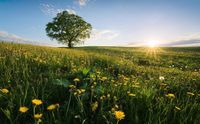 Komar Fotobehang - Frühling auf dem Land 450x280cm - Vliesbehang
