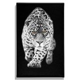 Homemania Muurfoto, Feline-dieren, voor woonkamer, slaapkamer, meerkleurig, 45 x 3 x 70 cm, HM20KNV45 x 70 – 248, polyester, hout