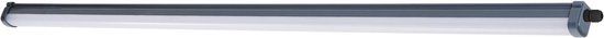 Philips ProjectLine Lampe LED étanche - 150 cm - Lumière du jour claire 6500K - 5400 lumen