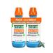 The Breath Co. Bain de Bouche sans Alcool - Menthe Givrée - 2x500ml