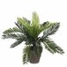 Mica Decorations Cycas Palm Plante artificielle dans un pot de fleurs Stan - H33 x Ø34 cm - Vert