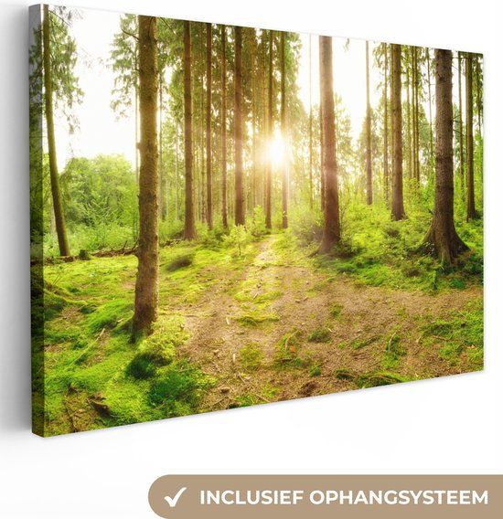 OneMillionCanvasses Canvas schilderij 180x120 cm - Bos - Groen - Multicolor - Rechthoek