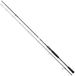 Daiwa Prorex E Light Game II Canne à pêche argent 2,13 m / 2-8 g