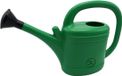 Ubbink Arrosoir 3 litre vert avec pomme d'arrosage