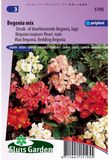 Sluis Garden Begonia laag gemengd