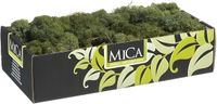 Mica Decorations Rendiermos - 500 gram - donkergroen