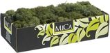 Mica Decorations Rendiermos - 500 gram - donkergroen