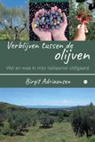 Verblijven Boekscout BV. Verblijven tussen de olijven