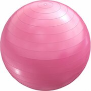 Gorilla Sports Fitness balroze 55 cm met handige pomp