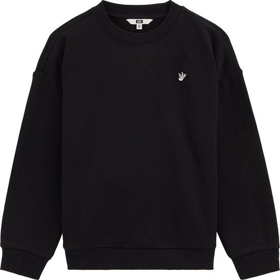 WE Fashion Jongens sweater met embroidery