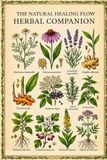 The Natural Healing Flow Herbal Companion