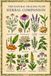 The Natural Healing Flow Herbal Companion