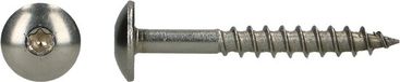 pgb-Europe PGB-FASTENERS HPL schroef platbolkop Tx20 4,8x25 A4