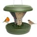 SWISSINNO Vogelvoeder Davos SMART BIRDS - Hangende Schone Voederplek - Muizen- en Rattenbestendig - Voor Roodborstjes, Nigerzaad - Sterk en Betrouwbaar - Dubbele Voedselkamers - Groen
