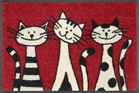 wash+dry Three Cats Deurmat, wasbaar, voor binnen en buiten, 40 x 60 cm