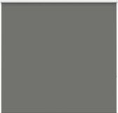 vidaXL Rolgordijn verduisterend 165x175 cm stofbreedte 161,6 cm grijs