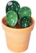Omgoods - Cactus Meetlepels Set - Schattige Keramische Lepels voor Koken en Bakken