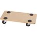dörner + helmer 290695 ECONOMY Transportroller