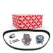 febi bilstein 45133 tandriemset met waterpomp