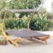 Prolenta Maison Exclusive - Ligbed met zonnedak, 165x203x138 cm, massief beuken hout, antracietkleurig