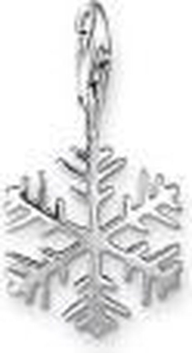 Thomas Sabo Sneeuwvlok Charm 0281