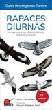 RAPACES