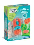 Clementoni Squishy Anatomie Educatief Speelgoed voor Kinderen STEM Speelgoed Vanaf 7 jaar