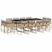 vidaXL 13-delige Tuinset met kussens poly rattan gemengd beige